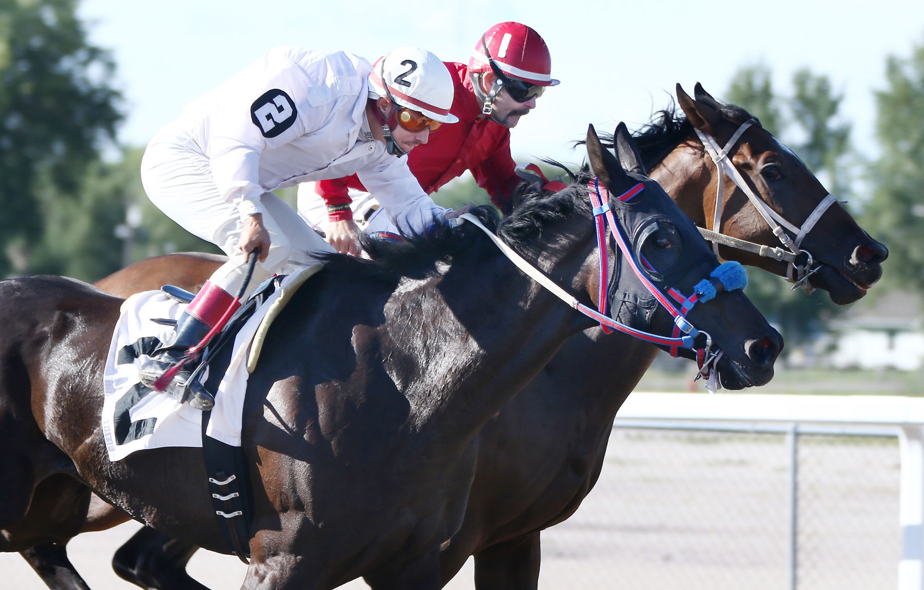 ATOKAD Park horse racing